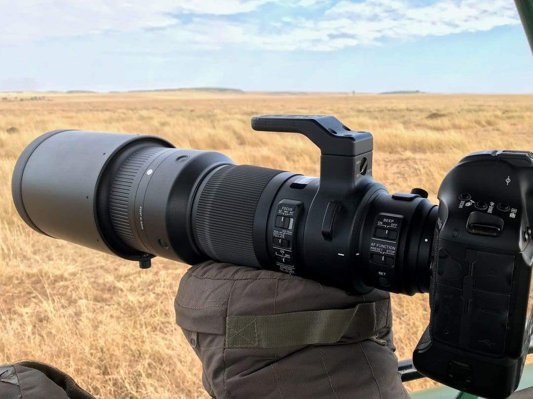 Lens Review: Sigma 500mm F4 DG OS HSM | S Cameratek