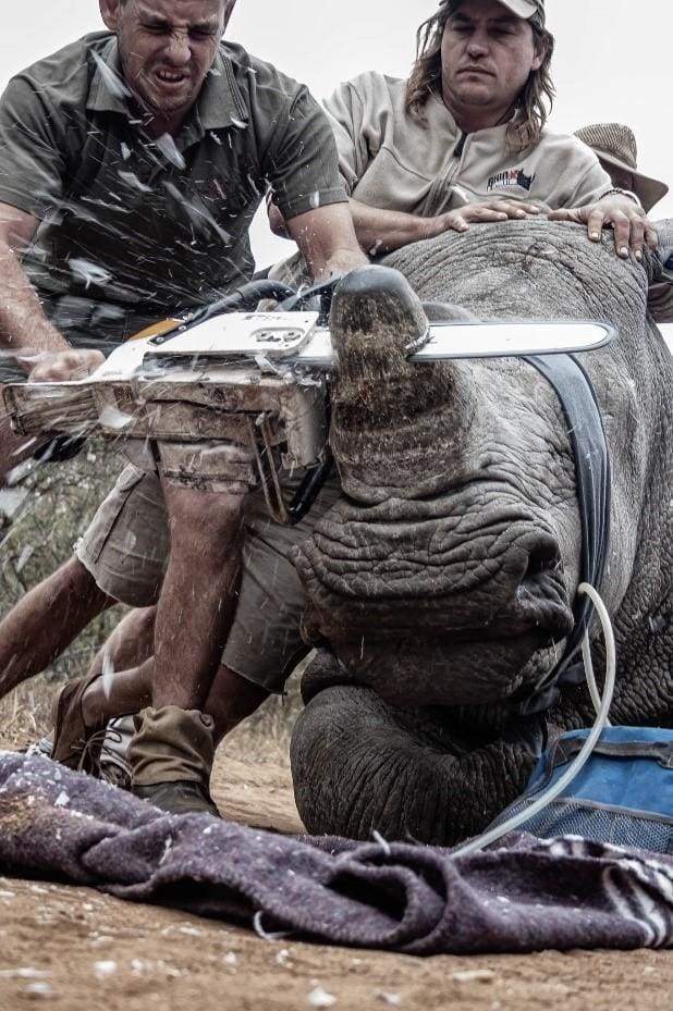 Wild Shots Outreach student wins international environmental photography competition! Cameratek