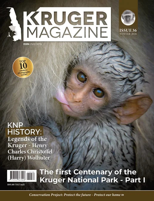 KRUGER MAGAZINE ISSUE 36 WINTER 2026