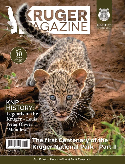 KRUGER MAGAZINE ISSUE 37 SPRING 2026