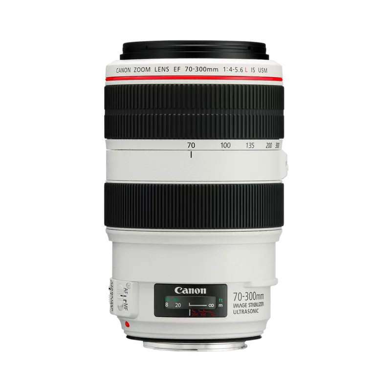 Canon EF70-300mmF/4-5.6 L IS USM Rental - From R400 P/DAY
