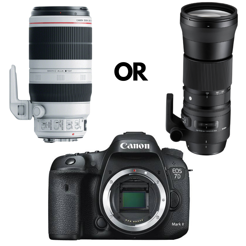 Rental BUSH KIT – Canon 7D MK II + EF 100-400mm f/4.5-5.6L IS II USM OR Sigma 150-600mm f/5-6.3 DG OS HSM Contemporary Rental - From R850 P/Day Camera tek
