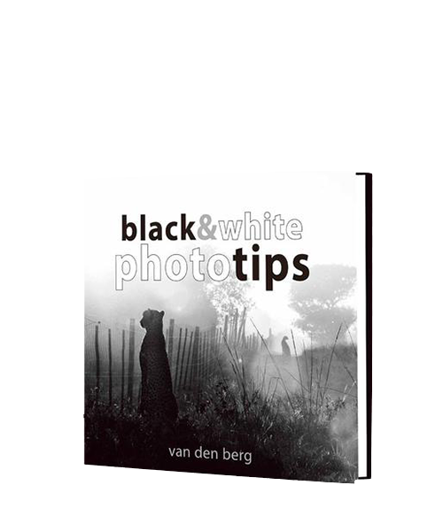 PHOTO TIPS: BLACK & WHITE by van den berg Camera tek
