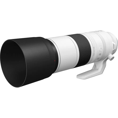 Unlock Incredible Wildlife Moments with the Canon RF 200-800mm Lens