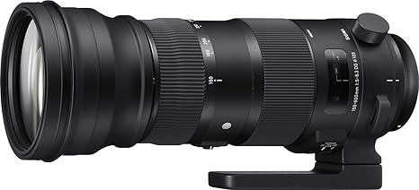 Sigma 150-600mm 5-6.3 Sports DG OS HSM Lens for Nikon Rental From R500 P/DAY