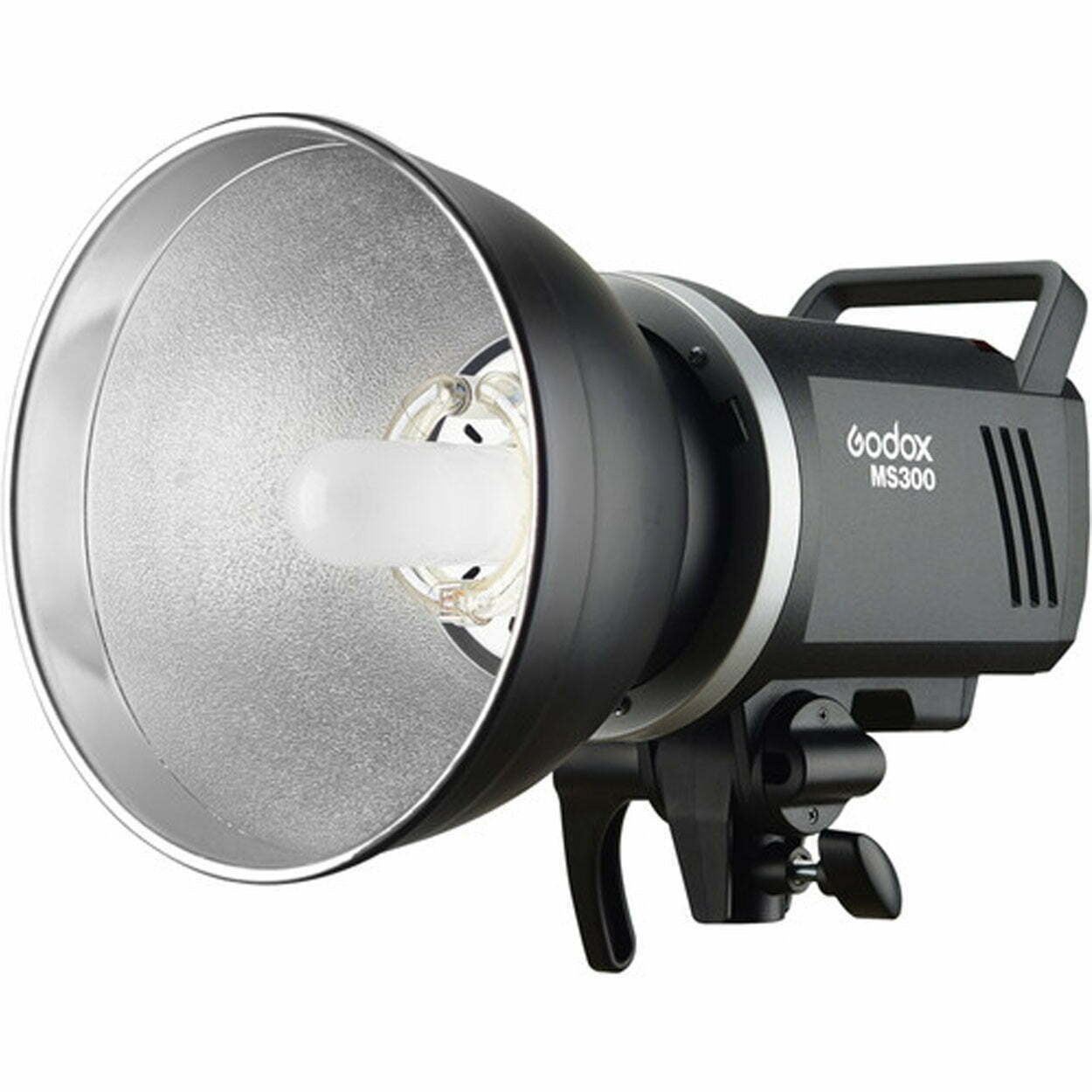 GODOX MS 300V-F STUDIO 2X LIGHT KIT