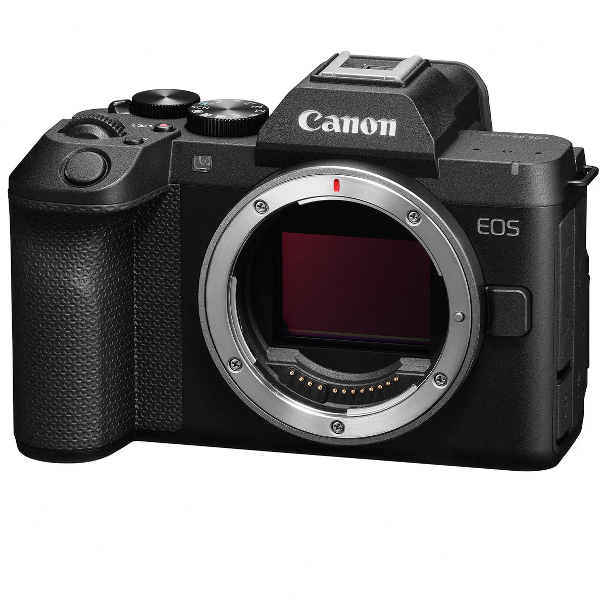 Canon EOS R8 Mark II Mirrorless Camera + Free Extra Battery