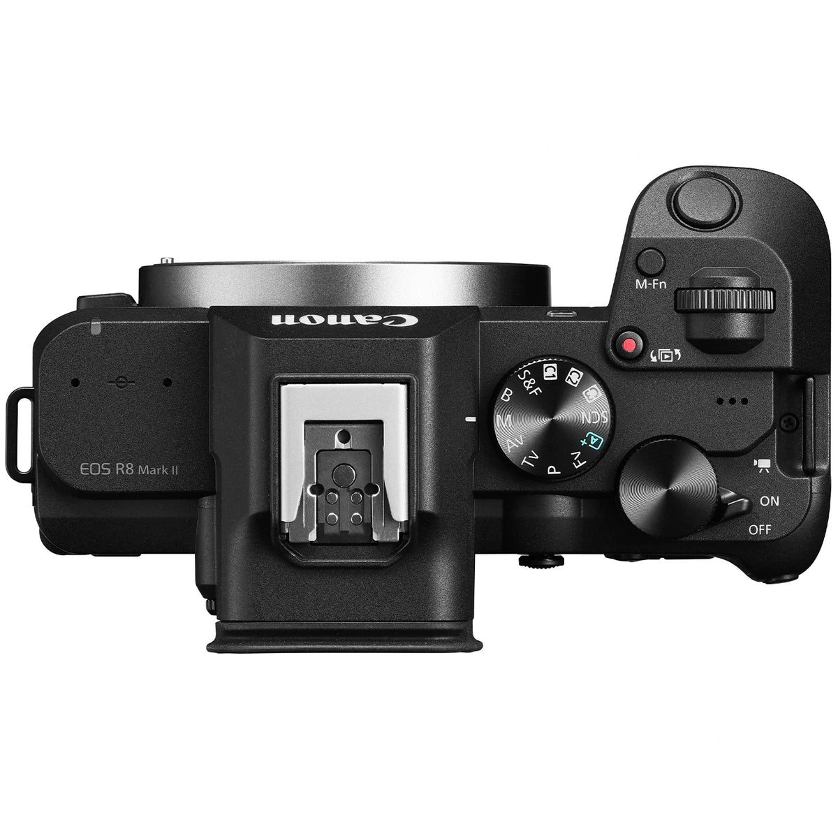 Canon EOS R8 Mark II Mirrorless Camera + Free Extra Battery