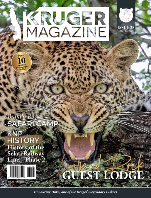 KRUGER MAGAZINE ISSUE 28 WINTER 2024