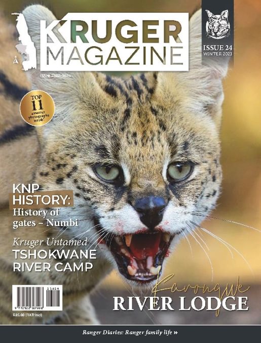 KRUGER MAGAZINE ISSUE 24 WINTER 2023