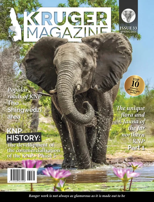 KRUGER MAGAZINE ISSUE 33 SPRING 2025