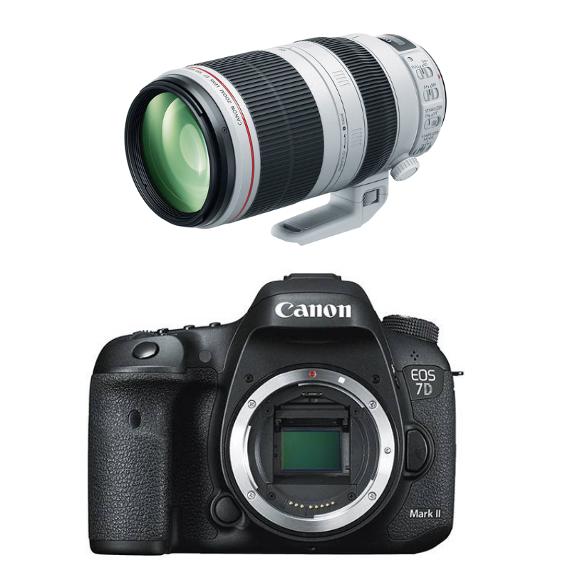 Rental BUSH KIT – Canon 7D MK II + EF 100-400mm f/4.5-5.6L IS II USM OR Sigma 150-600mm f/5-6.3 DG OS HSM Contemporary Rental - From R850 P/Day Camera tek