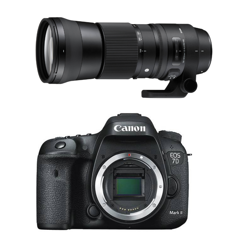 Rental BUSH KIT – Canon 7D MK II + EF 100-400mm f/4.5-5.6L IS II USM OR Sigma 150-600mm f/5-6.3 DG OS HSM Contemporary Rental - From R850 P/Day Camera tek