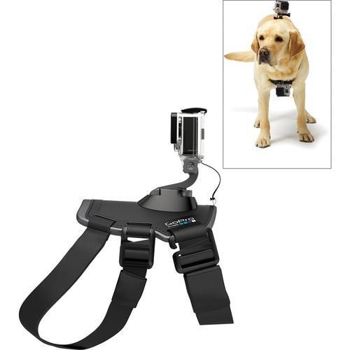 GoPro Fetch Dog Harness Camera tek